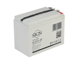 Тяговый аккумулятор SKN 6-EVF-45 (12В, 47.5Ач, AGM)
