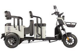 Трицикл электрический Wanshida LC300 (60V, 1000W, серый)