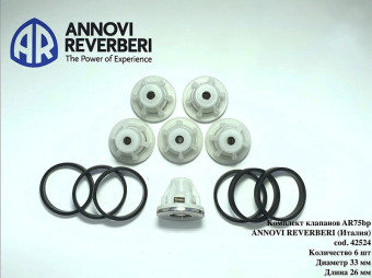 Комплект клапанов AR (для насосов серии AR, 42524, 6шт)