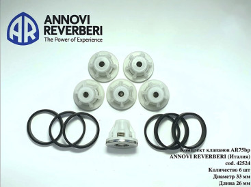 Комплект клапанов AR (для насосов серии AR, 42524, 6шт)