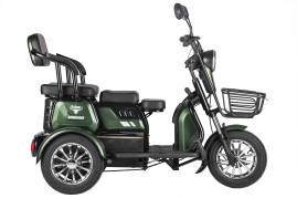 Трицикл электрический Rutrike Бумеранг (зеленый)