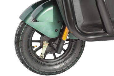 Трицикл электрический Wanshida NIPLA 500 (60V, 1000W, черно-зеленый)