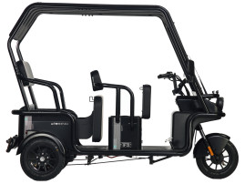 Трицикл электрический Wanshida NIPLA 570 60V 1000Вт (зеленый)