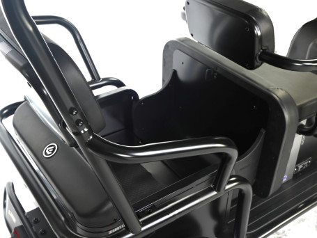 Трицикл электрический Wanshida NIPLA 570 60V 1000Вт (зеленый)