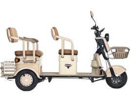 Трицикл электрический Rutrike Gelbert Atlas (48V/60V, 600 Вт, зеленый)
