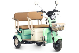 Трицикл электрический Rutrike Gelbert Atlas (48V/60V, 600 Вт, зеленый)