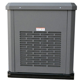 Генератор газовый EVOline GNG 19000 E