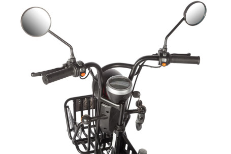 Трицикл электрический Wanshida HOT HATCH 60V 650Вт (черно-зеленый)