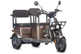 Трицикл электрический Wanshida U1-X (60V, 800W, коричневый)