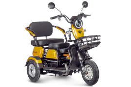 Трицикл электрический Rutrike Бумеранг (золотистый)