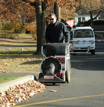Садовый пылесос Little Wonder Pro Vac SI