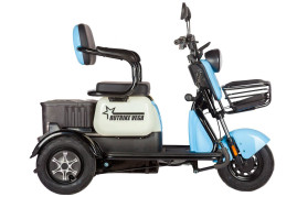 Трицикл электрический Rutrike Вега (зеленый)