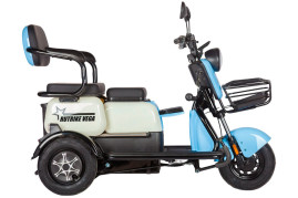 Трицикл электрический Rutrike Вега (черный)